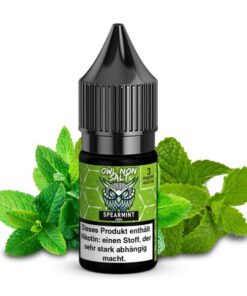 OWL Non Salt – Spearmint