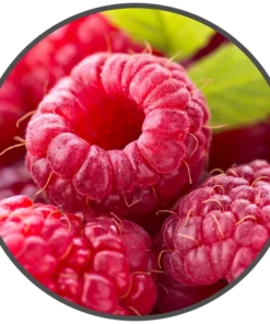 BotR – 10ml – Raspberry 3 mg/ml