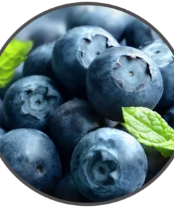 BotR – 10ml – Blueberry 18 mg/ml