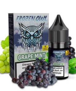 Frozen OWL – Grape Mint Nikotinsalz Liquid
