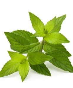 Spearmint Aroma – eRs – 10ml