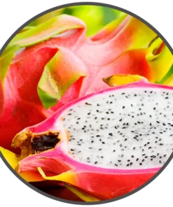 BotR – VP – 0 mg/ml Dragonfruit