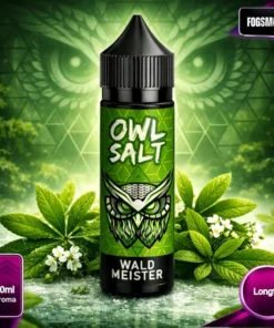 OWL Salt | 10ml Aroma | Waldmeister