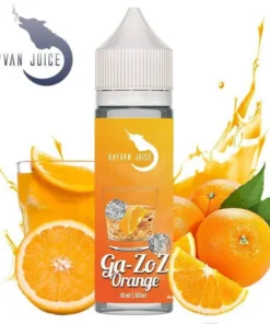 Ga-Zoz Orange Aroma für 60ml – Hayvan Juice