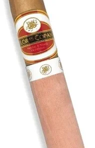 Flor de Copan Belicoso Zigarre 1 Stk.