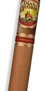 AJ Fernandez Dias de Gloria Robusto Zigarre 1 Stk.