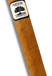 Foundation Cigars Charter Oak CT Shade Toro Zigarre 1 Stk.