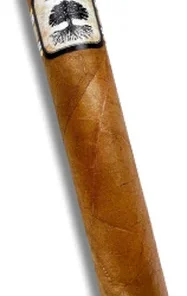 Foundation Cigars Charter Oak Shade Grande Zigarre 1 Stk.