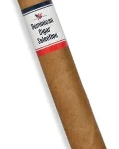 Dominican Cigar Selection Toro Zigarre 1 Stk.