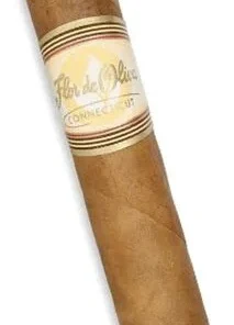 Flor de Oliva Connecticut Robusto Zigarre 1 Stück