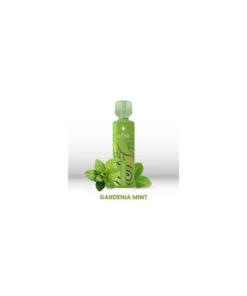 LaFume Aurora – Gardenia Mint