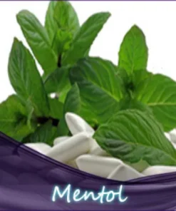 Menthol Liquid 10ml