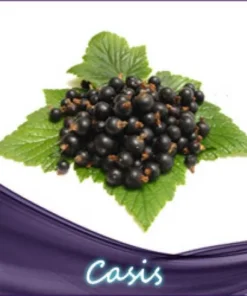 Cassis (Johannisbeere) Liquid