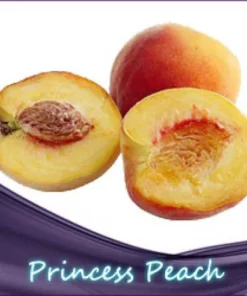 Pfirsich Princess Peach Liquid 10ml