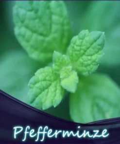 Pfefferminz Liquid 10ml