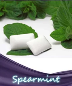 Spearmint Liquid 10ml leicht stärkere Süße