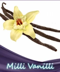Milli Vanilli Liquid (Vanille)