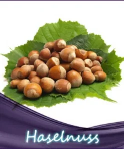 Haselnuß Liquid 10ml