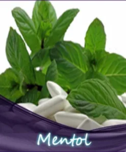 Menthol Aroma 10ml