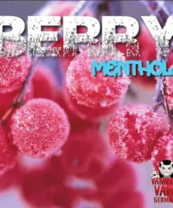 10ml Vampire Vape Berry Menthol Liquid (Beeren Menthol)