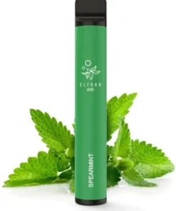 Elf Bar 600 Einweg E-Zigarette Spearmint Aroma 20mg Nikotin