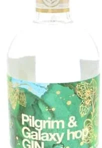 Gin Pilgrim & Galaxy hop 40% Vol.