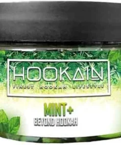 HOOKAiN Beyond Steam Stones Mint Dampfstein 100g