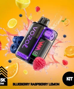 Vozol Vista Plug | KIT | Blueberry Raspberry Lemon | 15.000 Züge
