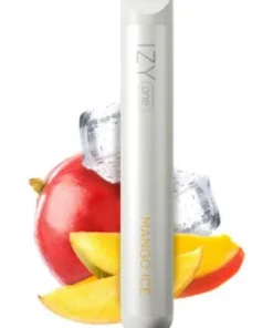 IZY One Einweg E-Shisha Mango Ice 18mg ca. 600 Puffs