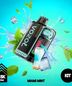 Vozol Vista Plug | KIT | Miami Mint | 15.000 Züge