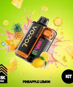 Vozol Vista Plug | KIT | Pineapple Lemon | 15.000 Züge