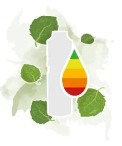 Chewy Leafs (Spearmint) von mediCig Liquid
