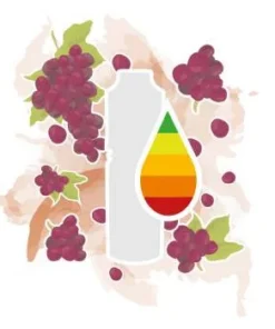 Purple Lips (Traube) von mediCig Liquid