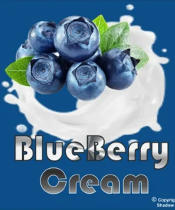 Blueberry Cream Aroma 10 ml