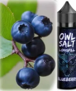 Blueberry Blaubeeren OWL Longfill Aroma 10-in-60ml Shake Vape Liquid