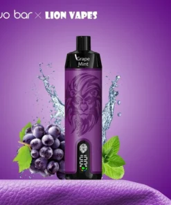 Yo Bar X Lion Vapes | Grape Mint | 10.000 Puffs | 0mg Nikotin