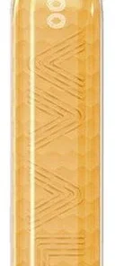 SC 600 Einweg E-Shisha Mango Ice 17mg