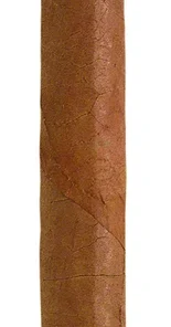 H. Upmann Majestic
