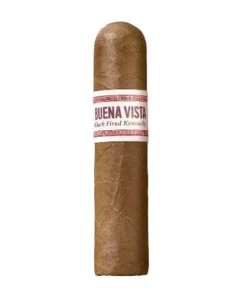 BUENA VISTA Dark Fired Kentucky Short Robusto 5 Zigarren