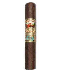 PARADISO Papagayo XXL (Toro Gigante) 21 Zigarren