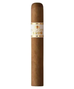 VILLIGER 1492 Robusto 20 Zigarren