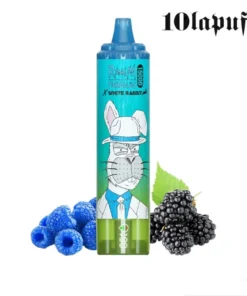 PUFF 15000 TORNADO RandM – Bluesour Raspberry