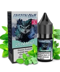 E-Liquid Nikotinsalz FROZEN OWL Spearmint 20mg