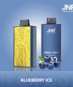 PUFF 25000 JNR MEGA BOX – Blaubeer-Eis