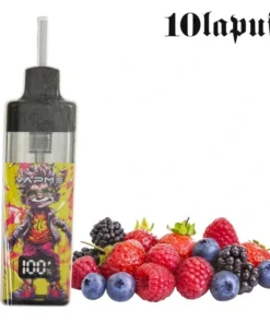 Puff Vapme 10 000 – Geschmack Gemischte Beeren (2 % Nikotin)