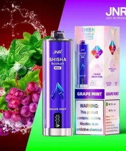 Puff JNR Shisha Wasserpfeife Max 22000 Traube Minze – Rosine & Minze