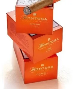 Montosa Churchill 20 Stück