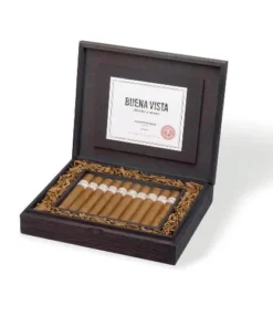 Buena Vista Araperique Toro 20 Zigarren