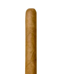Jacob van Meer Corona 10er Kiste