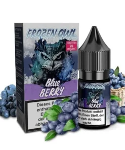 E-Liquid Nikotinsalz FROZEN OWL Blueberry 20mg